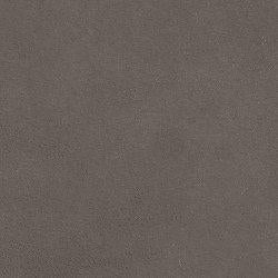 Darcy Sofa - Hello Home Furniture & Mattress (Longmont, CO)