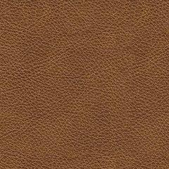 Carianna Oversized Chair - Hello Home Furniture & Mattress (Longmont, CO)