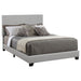 Dorian Upholstered California King, E.King, & Queen Bed Black, Brown, & Grey - Hello Home Furniture & Mattress (Longmont, CO)