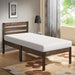 Artemisia 6" Full, Queen, & Twin Memory Foam Mattress - Hello Home Furniture & Mattress (Longmont, CO)