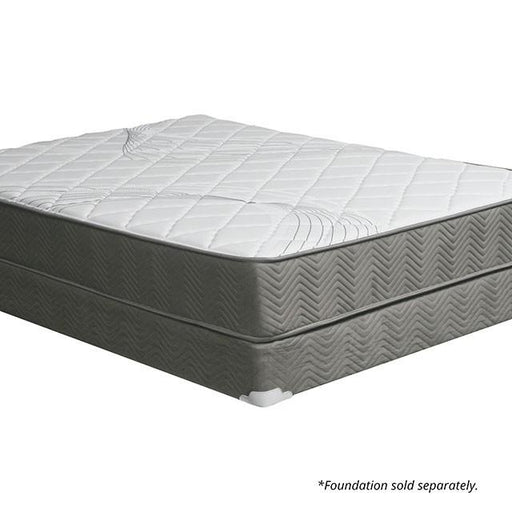 EDREA White/Gray 10" Tight Top Pocket Coil, Queen - Hello Home Furniture & Mattress (Longmont, CO)