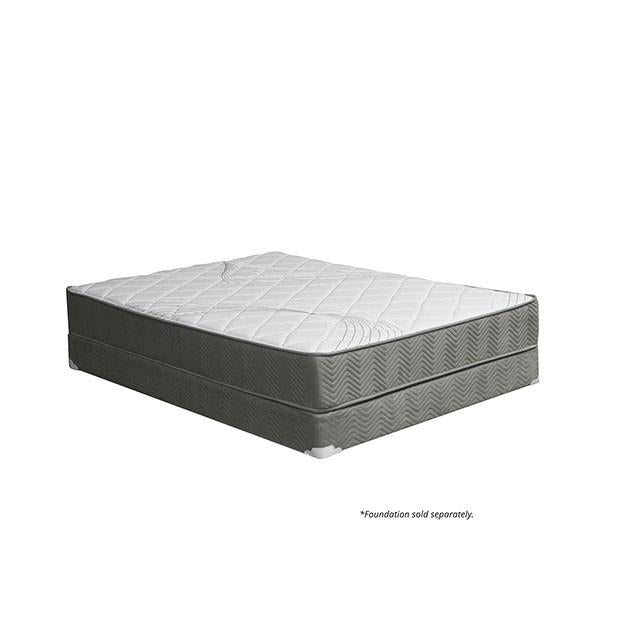 EDREA White/Gray 10" Tight Top Pocket Coil, Queen - Hello Home Furniture & Mattress (Longmont, CO)