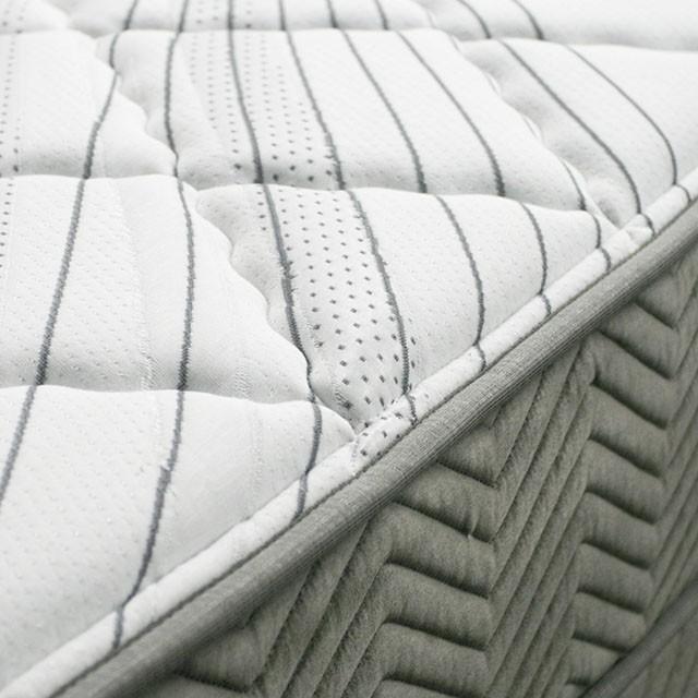 EDREA White/Gray 10" Tight Top Pocket Coil, Queen - Hello Home Furniture & Mattress (Longmont, CO)