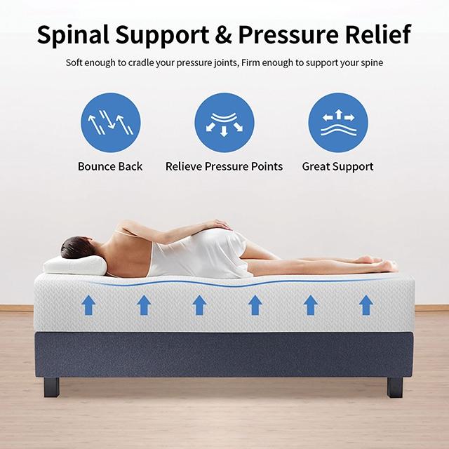 Forsythia 12" Full Green Tea Gel Memory Foat