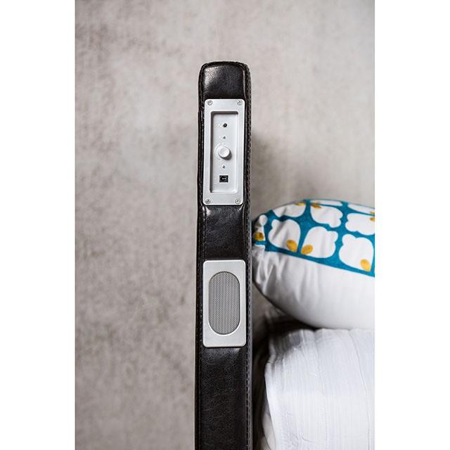 Evans E.King Bed - Hello Home Furniture & Mattress (Longmont, CO)