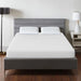 Artemisia 10" Memory Foam Mattress - Hello Home Furniture & Mattress (Longmont, CO)