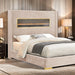 Danvers Bed - Hello Home Furniture & Mattress (Longmont, CO)